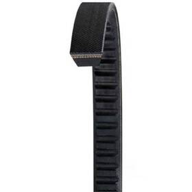 Cx96 Dayco Accessory Drive Belt-diesel