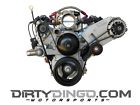 Dirty Dingo Ls Alternator Only