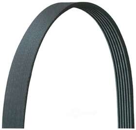 5060950dr Drive-rite Serpentine Belt-vin E