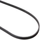 Dy5040530 Dayco Serpentine Belt 036687188991