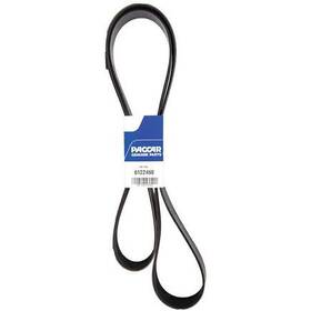 D84-1000-6122490 Dynacraft Belt Poly 12 Ribs X 2490