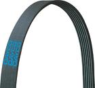 E030198 Dayco New Serpentine Belt 036687829788