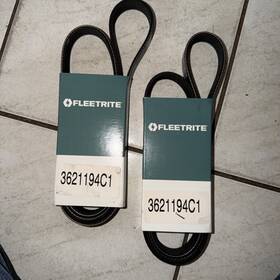Fleetrite 3621194c1 Belt