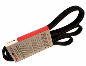 Ck4z8620a Ford New Genuine Motorcraft Engine Serpentine Drive Belt Jk71223 Oem