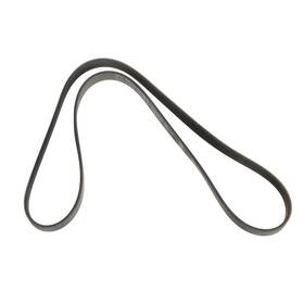 Jk6484 Ford Genuine 1984-87 Tempo Topaz Serpentine Poly V Drive Belt Motorcraft