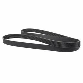 L1mz-8620-f Ford 2020-2025 Lincoln V Belt - Serpentine
