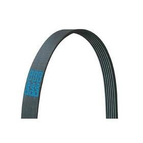 0123415043 Freightliner Serpentine Belt For