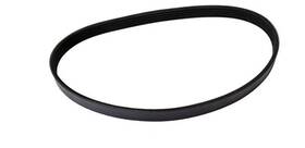 500k6 Freshstart Fresh Start Belt