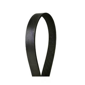 765k6 Fvp Serpentine Belt-multi-v