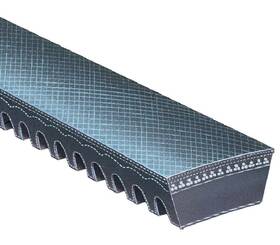 5741 Gates Accessory Drive Belt-special Belt