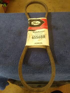 6556br Gates Accessory Drive Belt