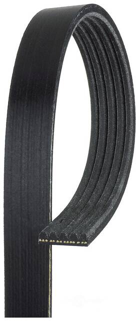 7164br Gates Accessory Drive Belt Motors Part