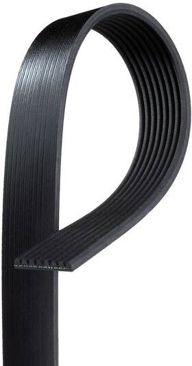 8k1264ap Gates Serpentine Drive Belt
