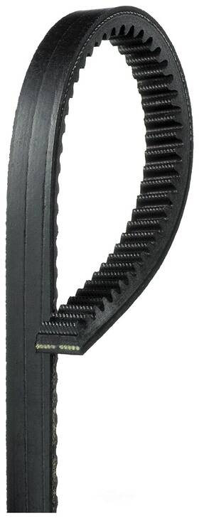 Bx82 Gates V-belt