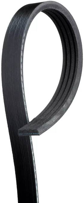 K040289sf Gates Genuine Serpentine Belt