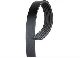 K060439 Gates Serpentine Belt