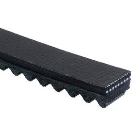 Tr22392 Gates Truck Belt