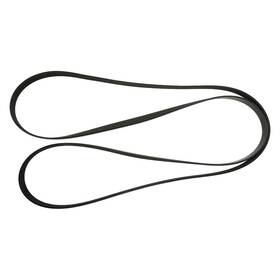 Genuine 29936796 Serpentine Belt