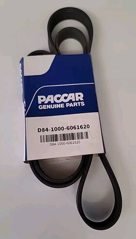 D84-1000-6061620 Genuine Paccar Part 6 Ribbed Serpentine Belt 1620mm