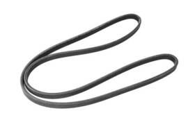 12590815 Gm Genuine Belt