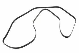 12646376 Gm Genuine Belt