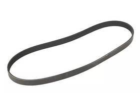 98075519 Gm Genuine F Belt