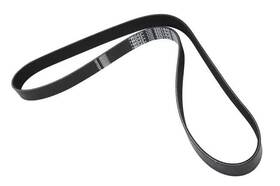 12717890 Gm Genuine Parts Drive Belt