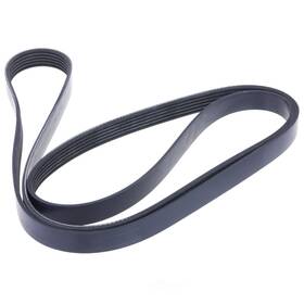 Fb6k783 Ina Serpentine Belt-natural