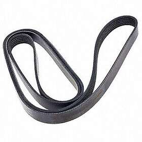 Fb6k946 Ina Serpentine Belt