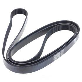 Fb6k950 Ina Serpentine Belt-diesel