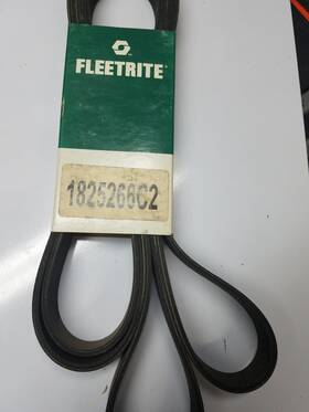 1825266c2 International Fleetrite Belt For Truck - New 8pk3091 Aa0b