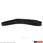 Jk10-843 Motorcraft Serpentine Belt Fits Ford Mustang
