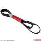 7r3z8620a Jk10-847 Motorcraft Serpentine Belt Fits Ford Mustang