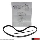 K040364sf Jk4-371b Motorcraft Serpentine Belt Fits Ford Mustang
