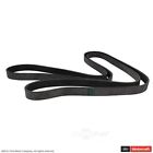 Jk6-1007-b Motorcraft Serpentine Belt Fits Ford Super Duty