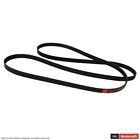 Jk6-1007-c Motorcraft Serpentine Belt Fits Lincoln Aviator
