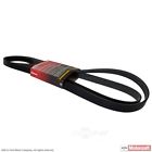 Jk6-1013-ac Motorcraft Serpentine Belt