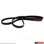 Jk6-1025-b Motorcraft Serpentine Belt Fits Ford Mustang