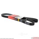 Jk6-1034 Motorcraft Serpentine Belt Fits Ford