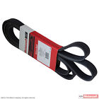 K061058rpm Jk6-1063-a Motorcraft Serpentine Belt Fits