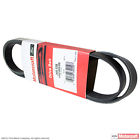 Jk6-536 Motorcraft Serpentine Belt Drive