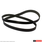K060598hd Jk6-602 Motorcraft Serpentine Belt Fits Ford