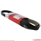 Jk6-645 Motorcraft Serpentine Belt Fits Ford