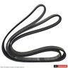 Jk6-648 Motorcraft Serpentine Belt Fits Ford