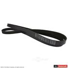 Xl2z8620ca Jk6-814-j Motorcraft Serpentine Belt Fits Ford Explorer