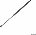 Jk6-834aa Motorcraft New Serpentine Belt