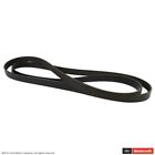 Jk6-839-a Motorcraft Serpentine Belt Fits Ford Focus
