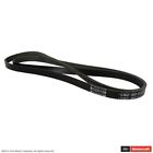 Jk6-873-ab Motorcraft Serpentine Belt Fits Ford Mustang