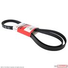 F67z8620ca Jk6-876-a Motorcraft Serpentine Belt Fits Ford Ranger