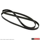 Jk6-881-b Motorcraft Serpentine Belt Fits